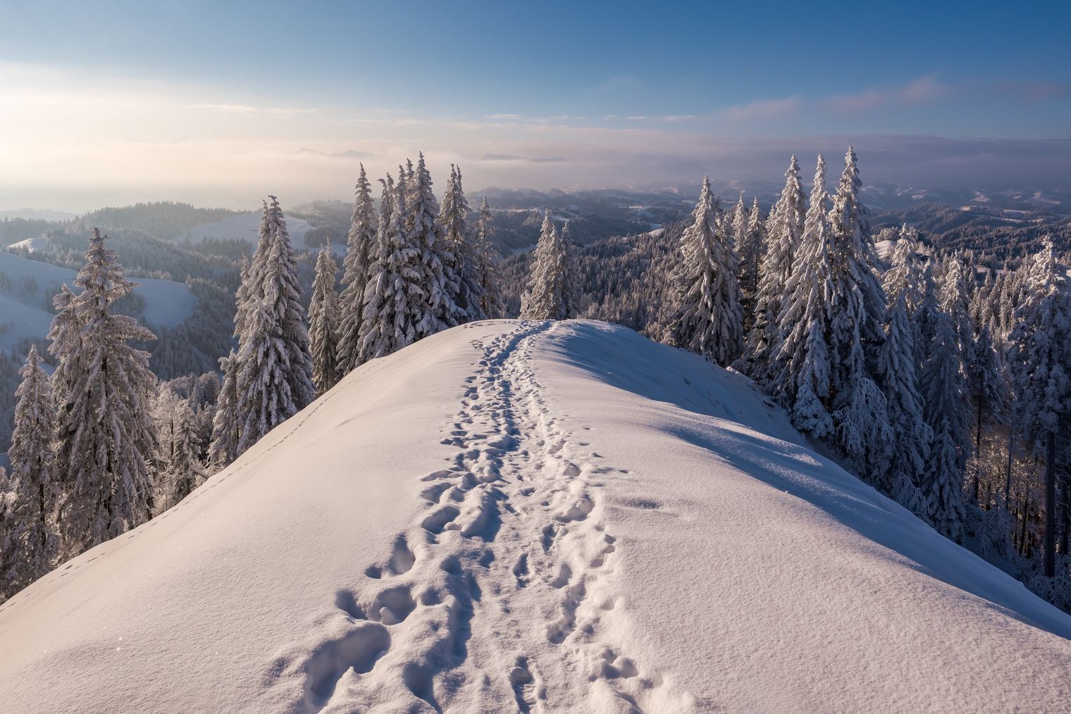 Schneeschuh Spuren im verschneiten Napfgebiet im Winter