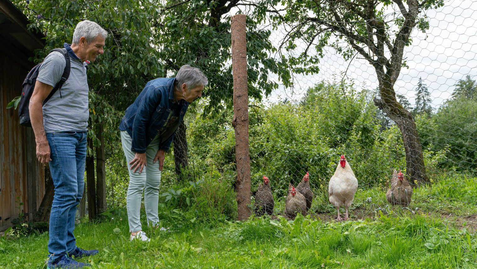 Hühner auf dem Agrotourismus Hof Hauenfluh in Wasen i.E.