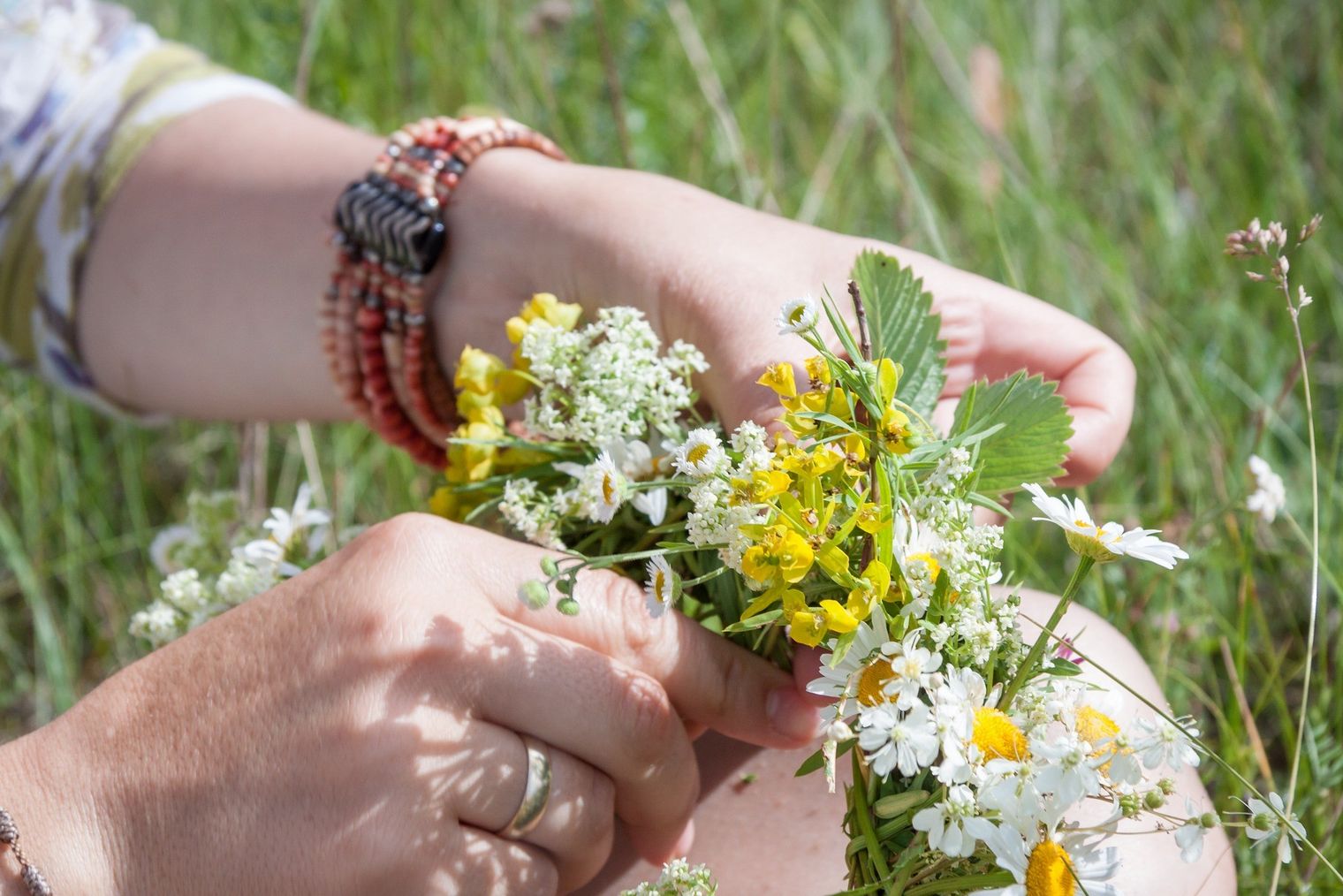 Kräuter binden bei einer Kräuterwanderung mit Naturea Luthern